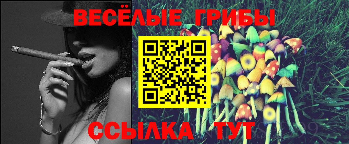 Галлюциногенные грибы Magic Shrooms  Вход с VPN  Корсаков 