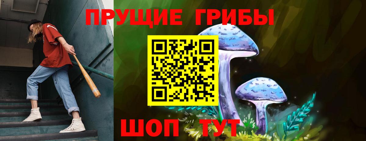 Галлюциногенные грибы Cubensis Корсаков